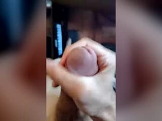 lexnbrady_ live webcam thumbnail