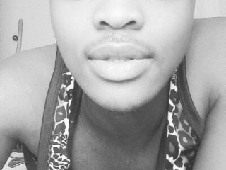 LINTv175964 live webcam thumbnail