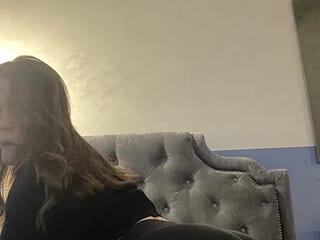 little_STITCH live webcam thumbnail