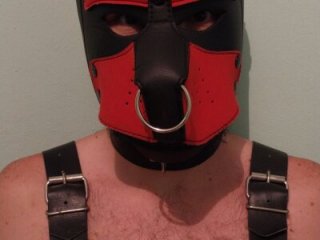Mauricio_Touro live webcam thumbnail