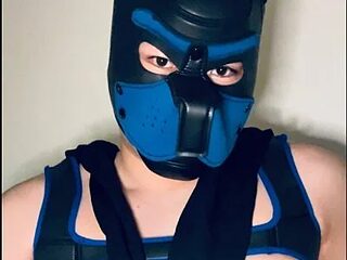 makoto-gmpd live webcam thumbnail
