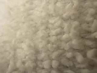 marco_77_ live webcam thumbnail