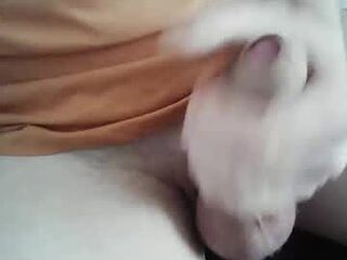 matt_cunnings live webcam thumbnail
