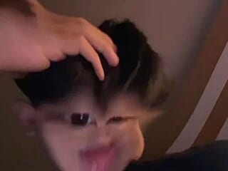mdang17 live webcam thumbnail