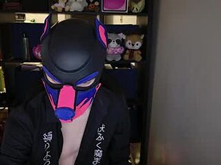 mellpup live webcam thumbnail
