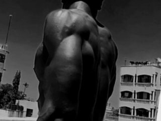 mgmonako live webcam thumbnail