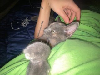MikkyMoony live webcam thumbnail