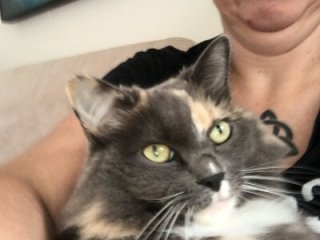 Mir_boobs_ live webcam thumbnail