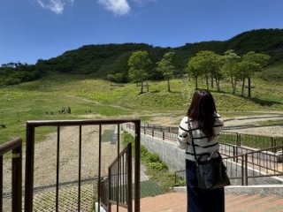 Miwa_8839 live webcam thumbnail