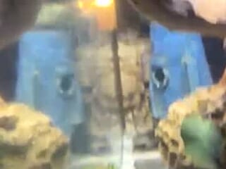 michaelslocum live webcam thumbnail