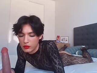 mistedrose live webcam thumbnail