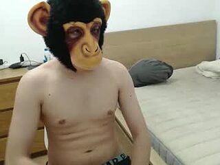 molkreid2 live webcam thumbnail