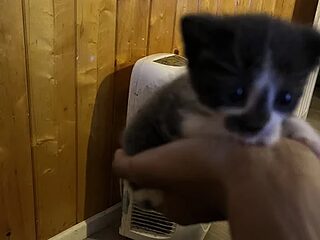 Mr11inchesnluvv live webcam thumbnail