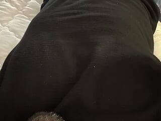 NaturalVibes live webcam thumbnail