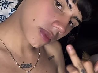 NicoBlazz live webcam thumbnail