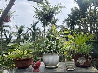 niceguys666 live webcam thumbnail