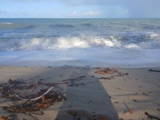 novinho18t live webcam thumbnail