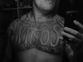 num-knotts live webcam thumbnail