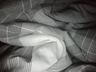 oks371 live webcam thumbnail