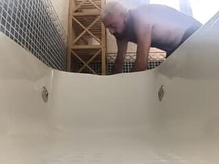 orejadeburro live webcam thumbnail