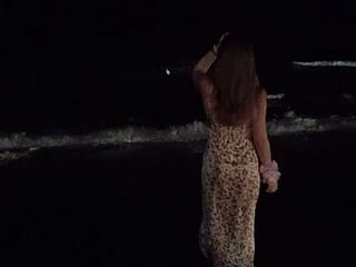 petaljig live webcam thumbnail