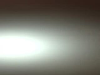 petit296 live webcam thumbnail