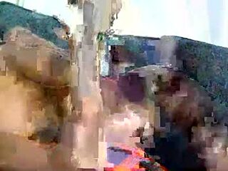 petiteblackjuicy live webcam thumbnail