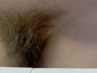 petra_butterfly live webcam thumbnail