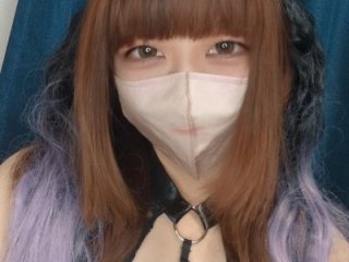 PINO_pino_01 live webcam thumbnail