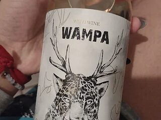 PielyFuego live webcam thumbnail