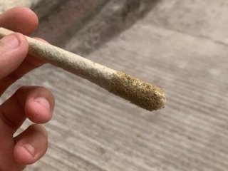 pitudo1713 live webcam thumbnail