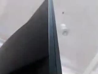 platypus5 live webcam thumbnail
