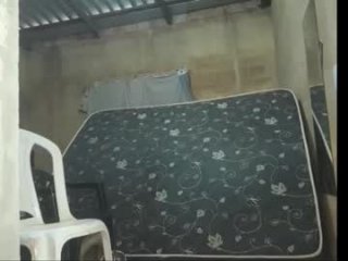 pollyster live webcam thumbnail