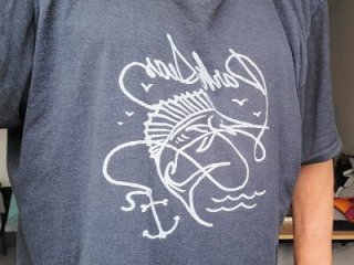 pong_mod_55 live webcam thumbnail