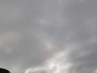PrachtSchwanz_XL live webcam thumbnail