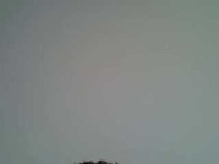 pretty_scooper live webcam thumbnail