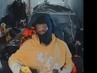 pseudofacts live webcam thumbnail