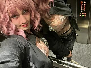PublicLuke live webcam thumbnail