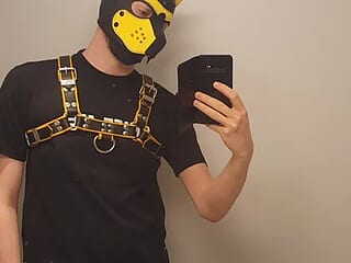 Pup_Noir live webcam thumbnail