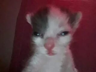 PureUs07 live webcam thumbnail