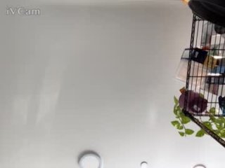 publicstuntcock live webcam thumbnail