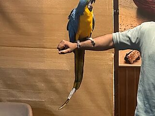 Rasta-Lanka live webcam thumbnail
