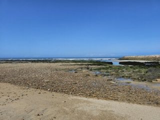 ravingr4d4 live webcam thumbnail