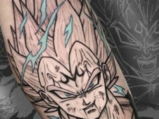 RenaudS-02 live webcam thumbnail