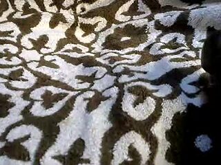 reinathehole live webcam thumbnail
