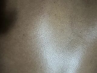 ROBOSTALLION live webcam thumbnail