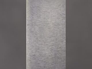 rogerwooddell691 live webcam thumbnail