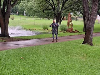 royer333t live webcam thumbnail