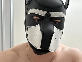 ryunosukedayo live webcam thumbnail