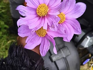 Sassynina live webcam thumbnail
